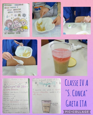 Estrazione del DNA della banana